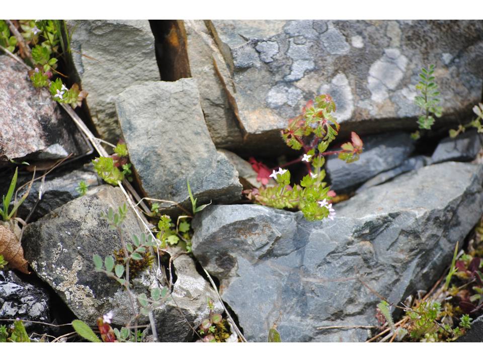 Presentación2 Presentación2