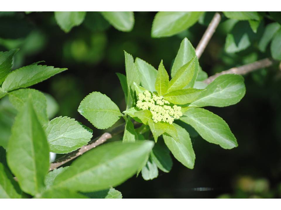 Presentación3 Presentación3