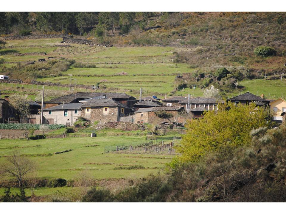 Presentación3 Presentación3