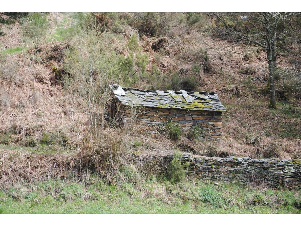 Presentación3 Presentación3