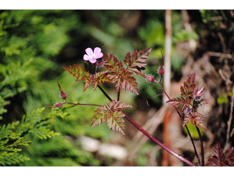 Presentación4 Presentación4