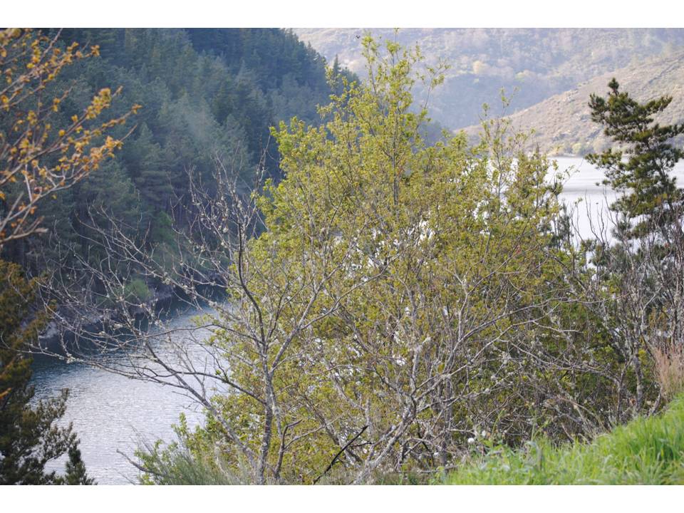 Presentación4 Presentación4