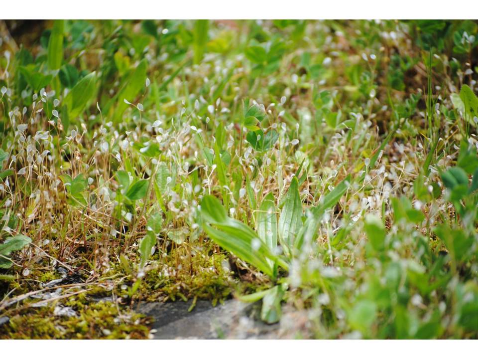 Presentación4 Presentación4