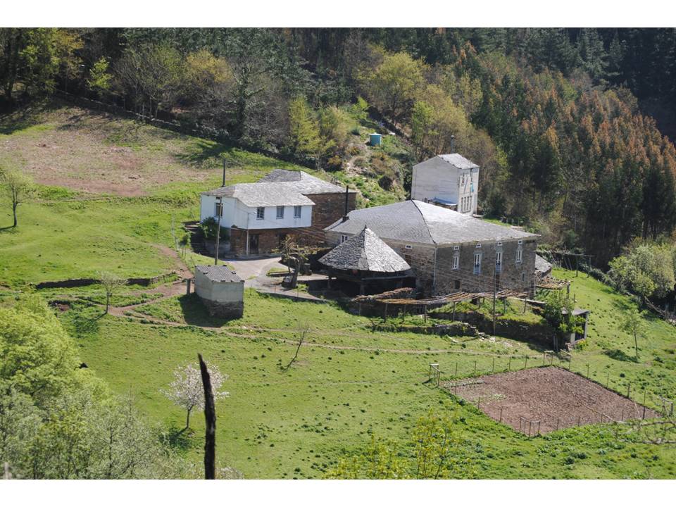 Presentación4 Presentación4