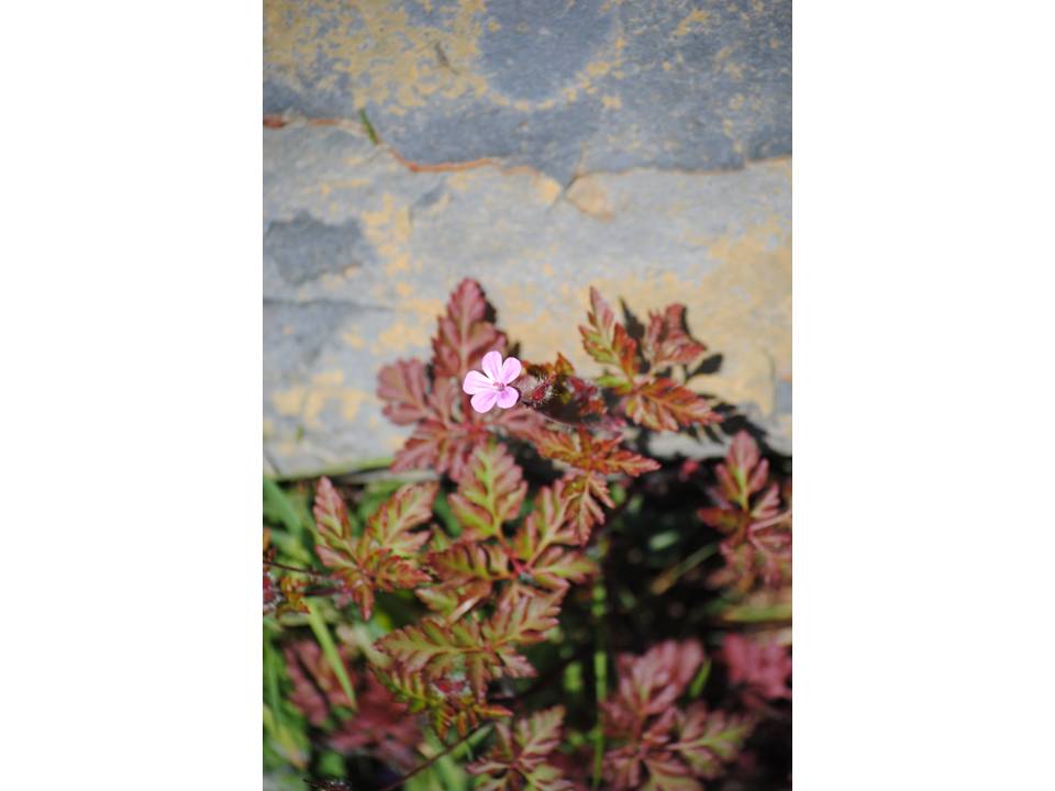 Presentación5 Presentación5