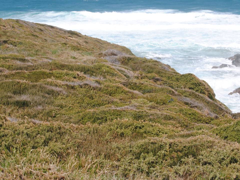 Presentación5 Presentación5