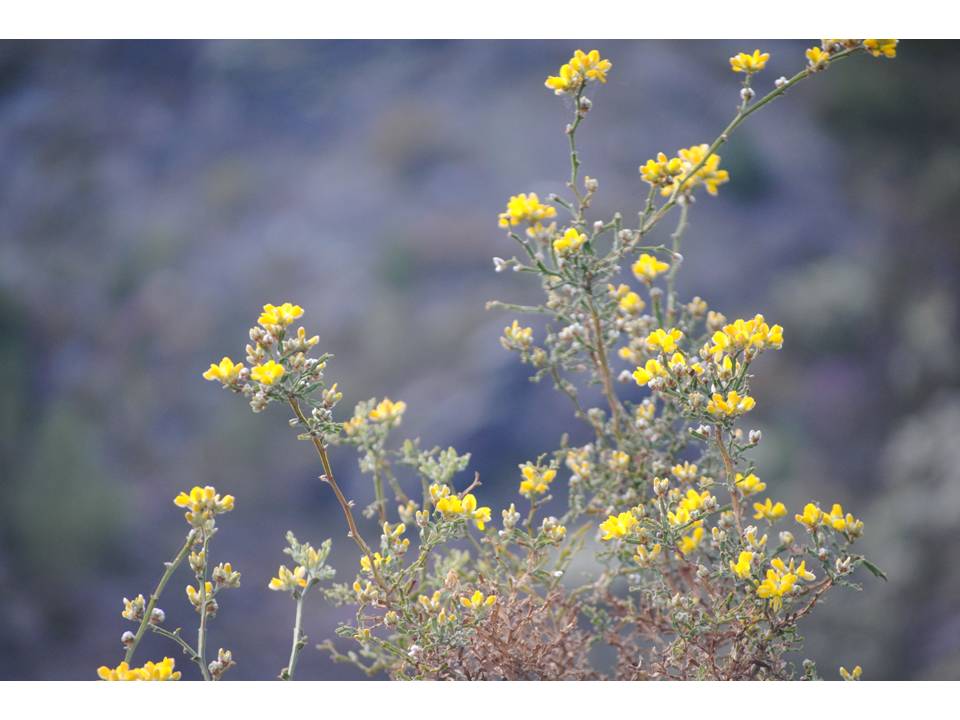 Presentación5 Presentación5