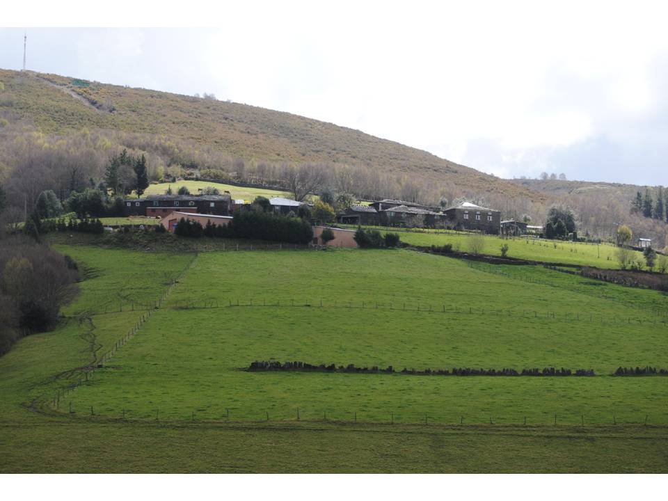 Presentación5 Presentación5