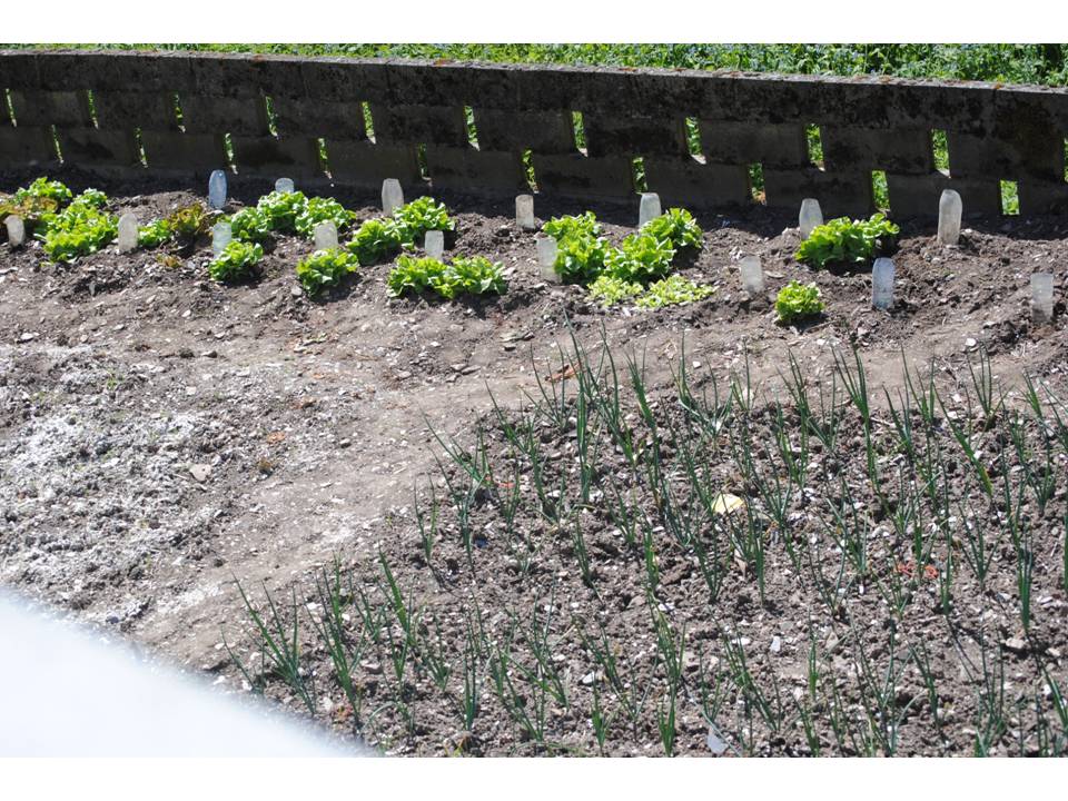 Presentación5 Presentación5