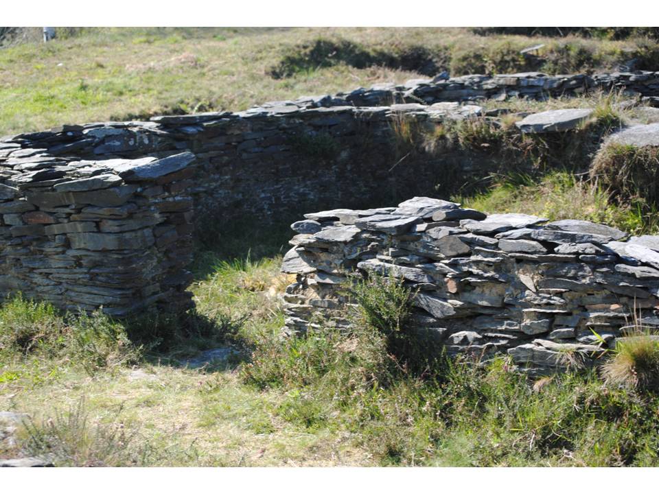 Presentación6 Presentación6