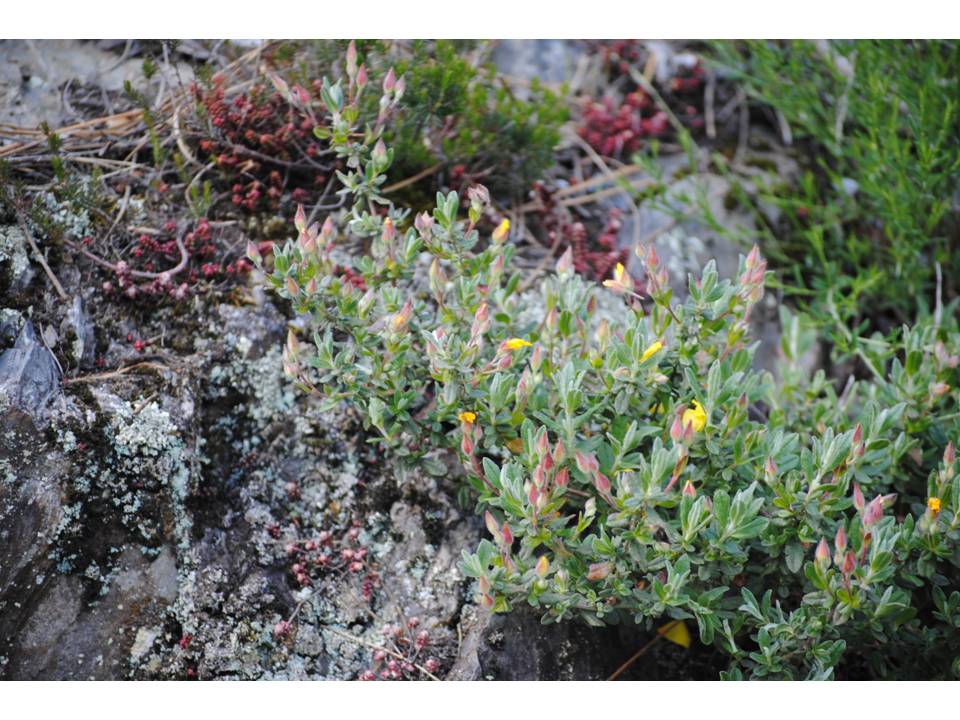 Presentación6 Presentación6