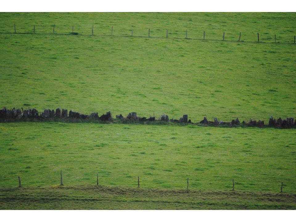 Presentación6 Presentación6