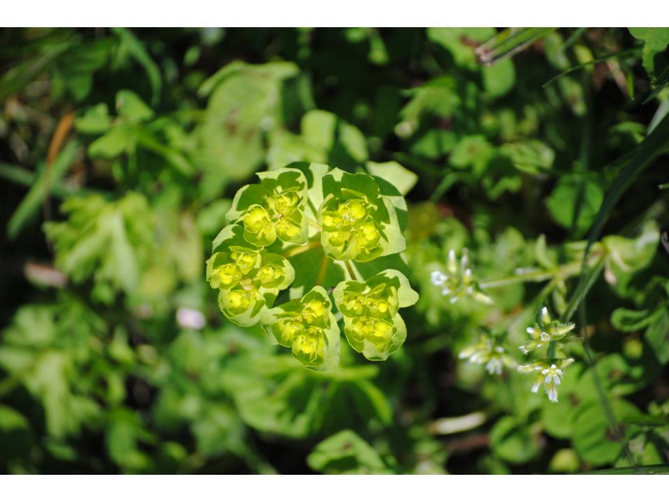 Presentación7 Presentación7