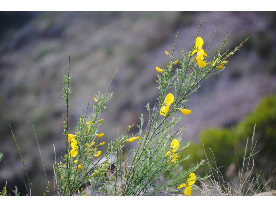 Presentación7 Presentación7