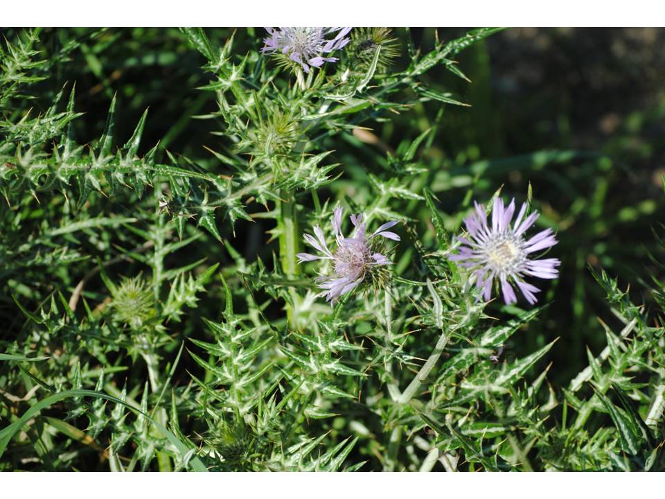 Presentación8 Presentación8