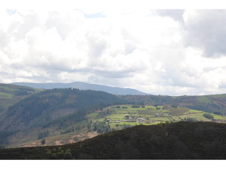 Presentación8 Presentación8