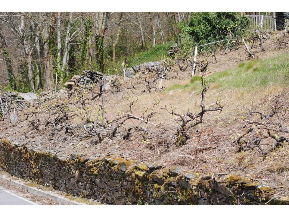 Presentación8 Presentación8