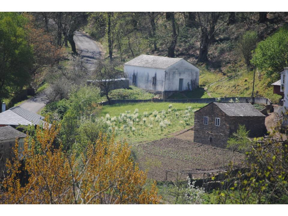 Presentación8 Presentación8