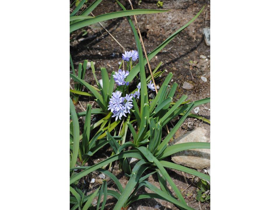 Presentación9 Presentación9