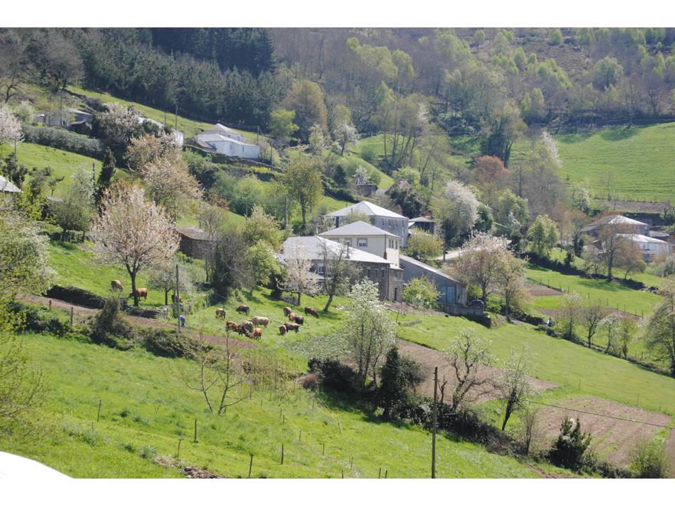 Presentación9 Presentación9