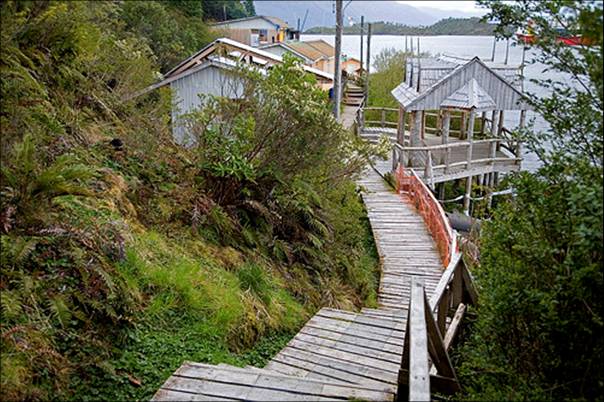 slide0001_image002 slide0001_image002