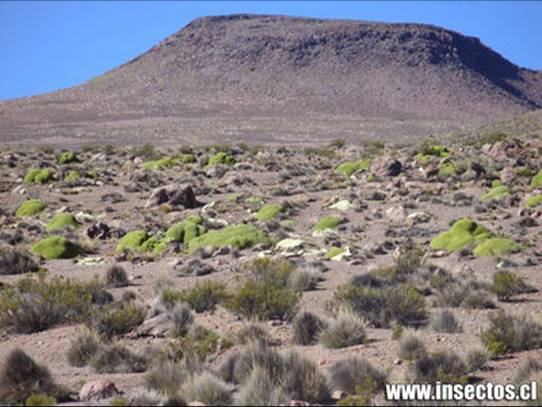 slide0001_image002 slide0001_image002