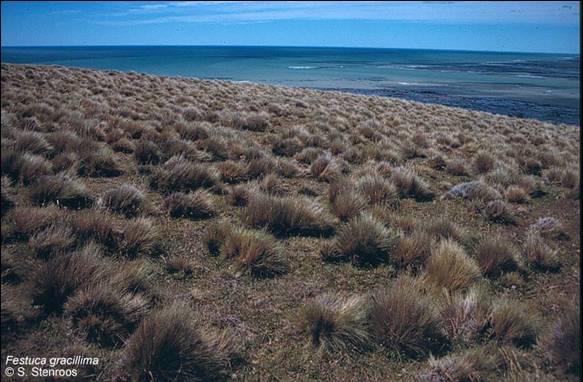 slide0001_image002 slide0001_image002