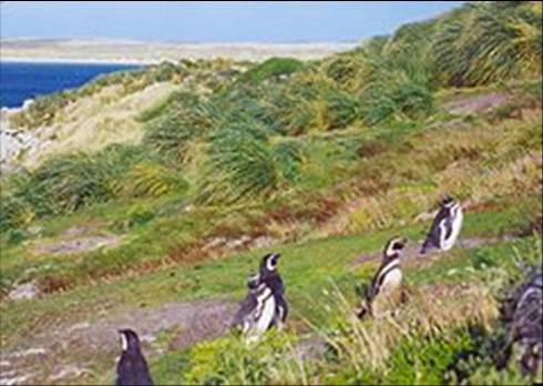 slide0001_image002 slide0001_image002