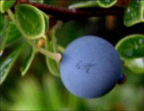 slide0001_image002 slide0001_image002