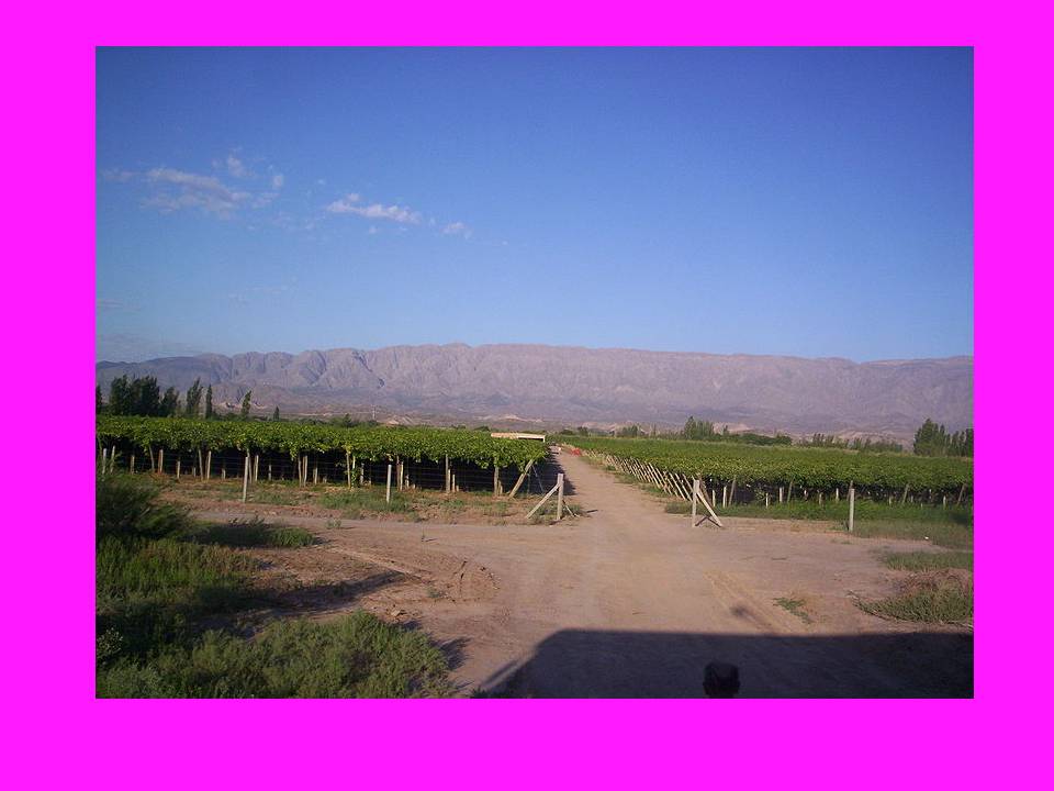 Presentación3 Presentación3