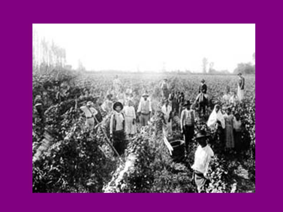 Presentación4 Presentación4