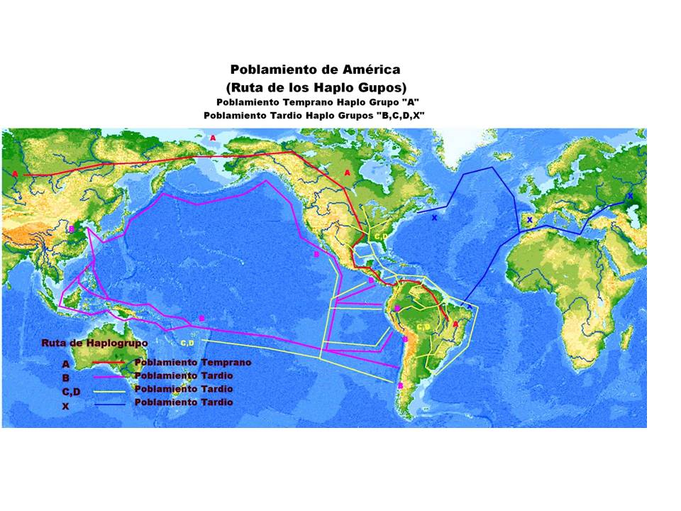 Presentación5 Presentación5