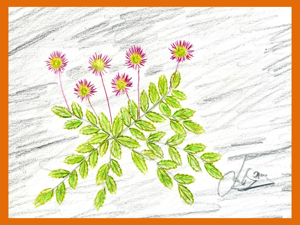 22222222222222222222222222 22222222222222222222222222