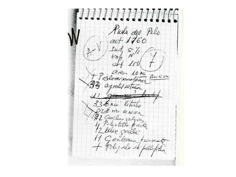 Presentación1 Presentación1