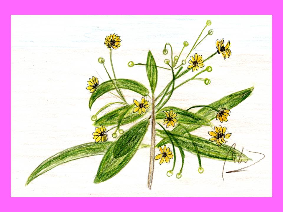 Presentación2 Presentación2