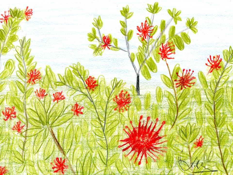 Presentación3 Presentación3