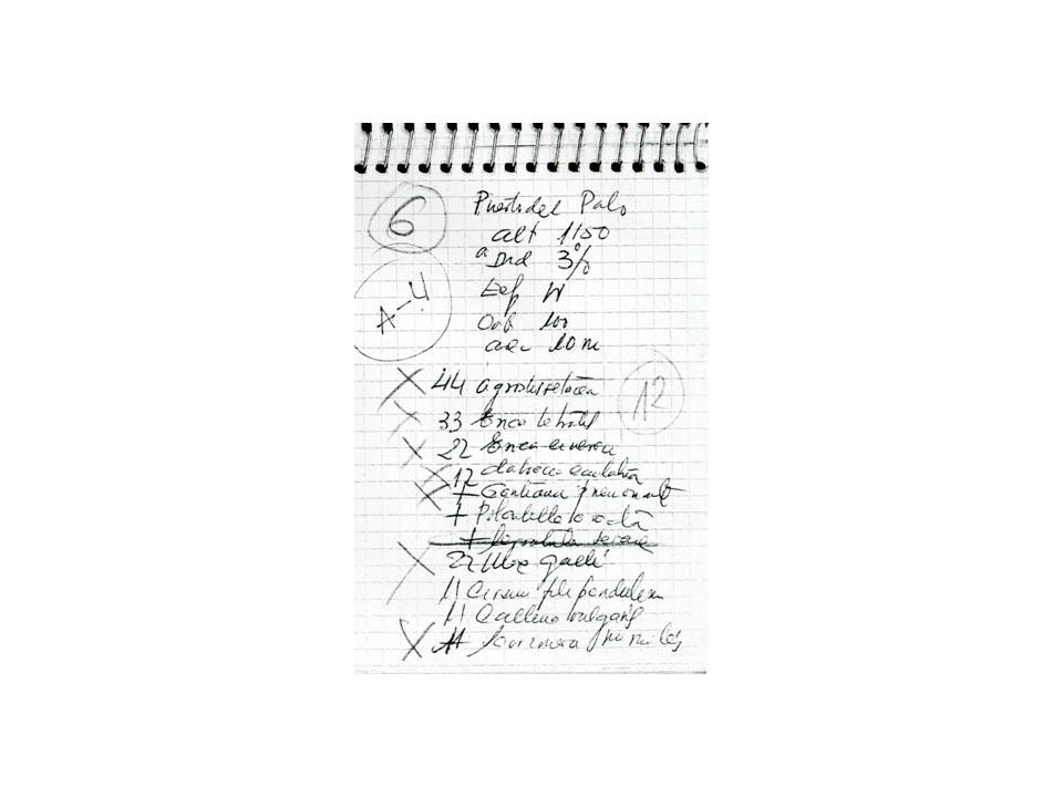 Presentación3 Presentación3