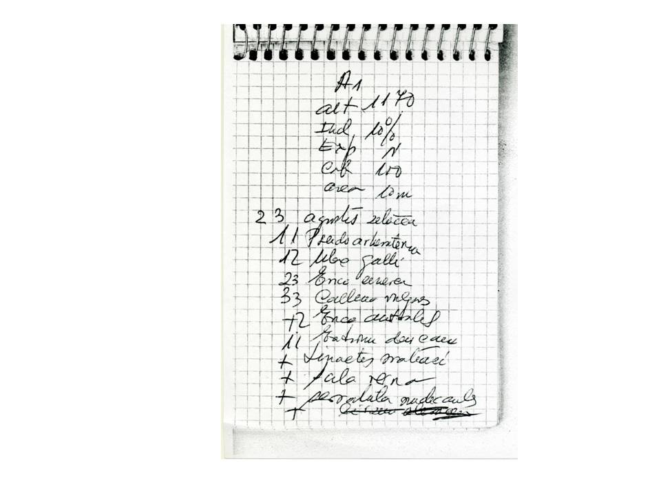 Presentación4 Presentación4