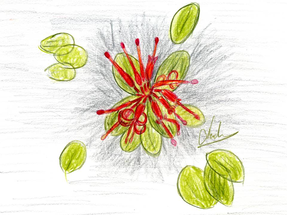 Presentación5 Presentación5