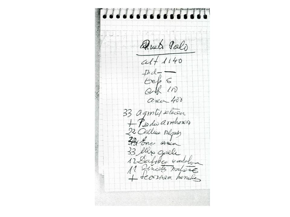 Presentación5 Presentación5