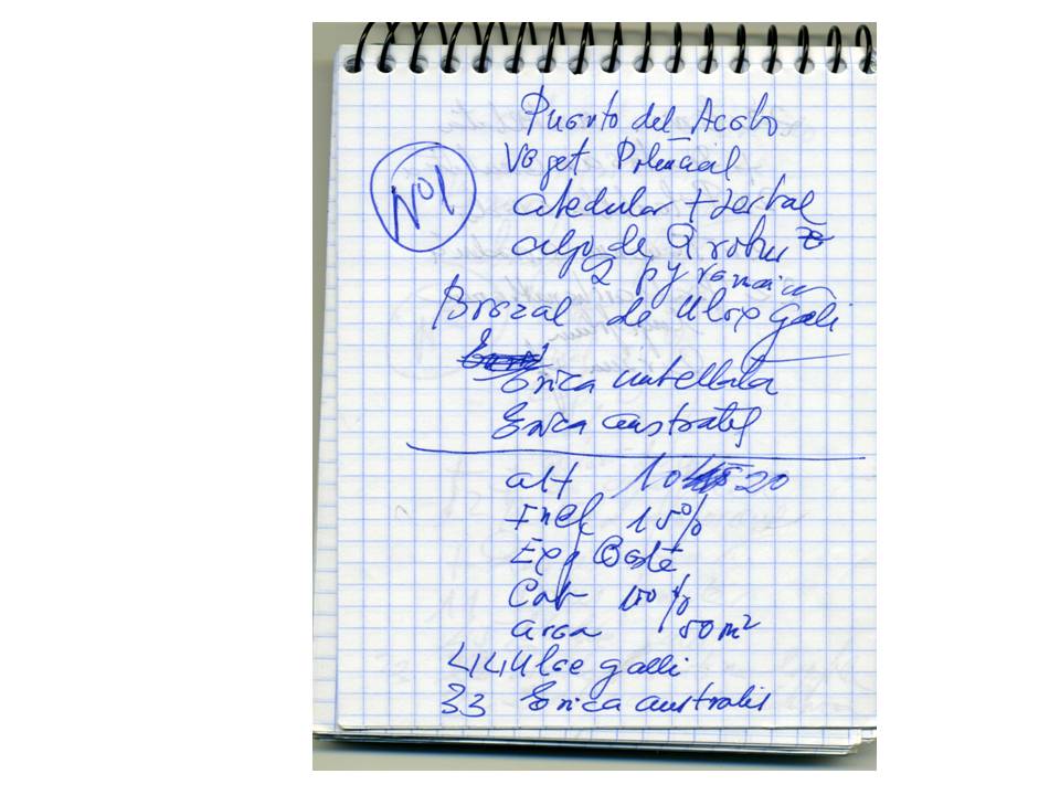 Presentación1 Presentación1