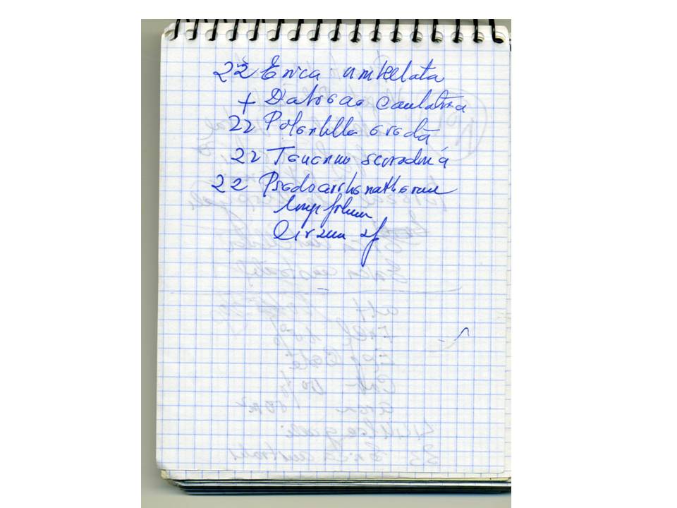 Presentación2 Presentación2