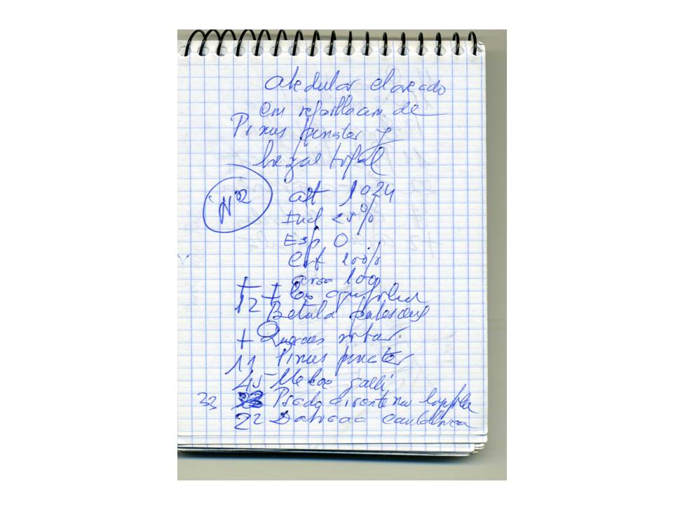 Presentación3 Presentación3