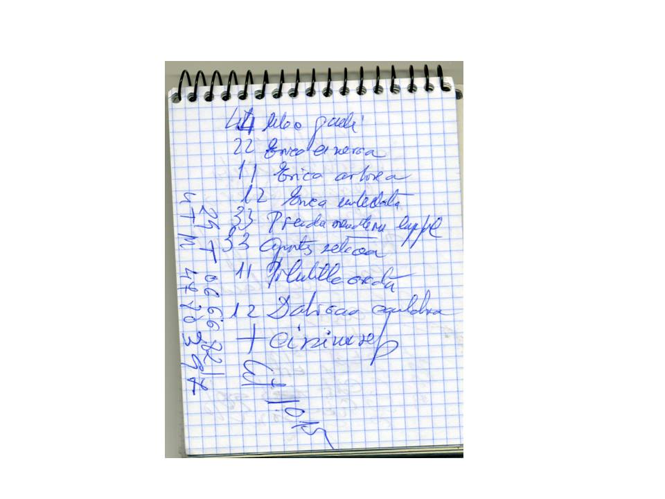 Presentación6 Presentación6