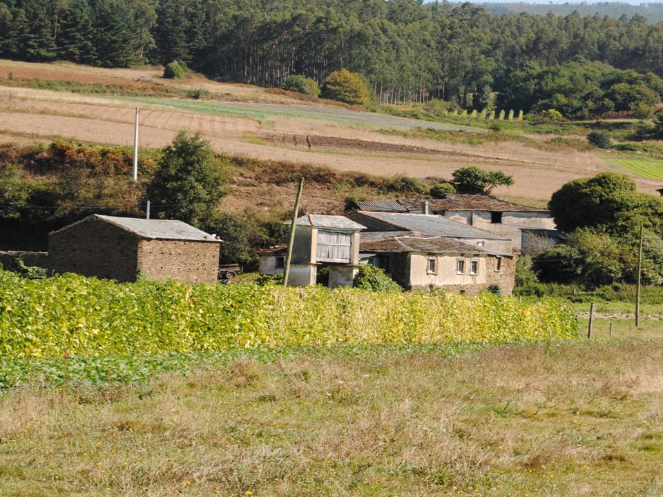 Presentación2 Presentación2