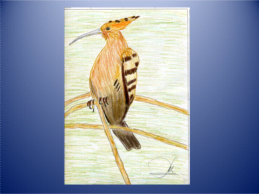 image002 image002