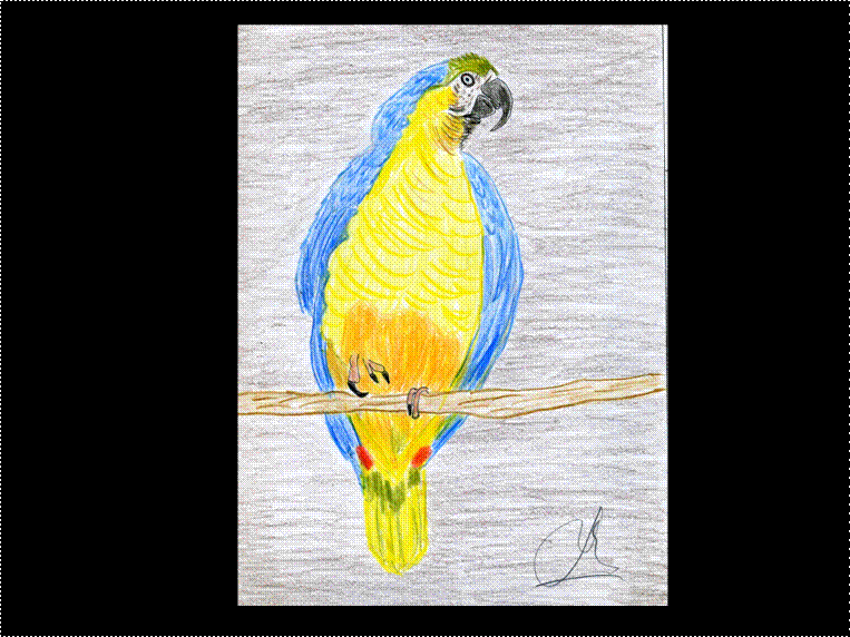 image002 image002