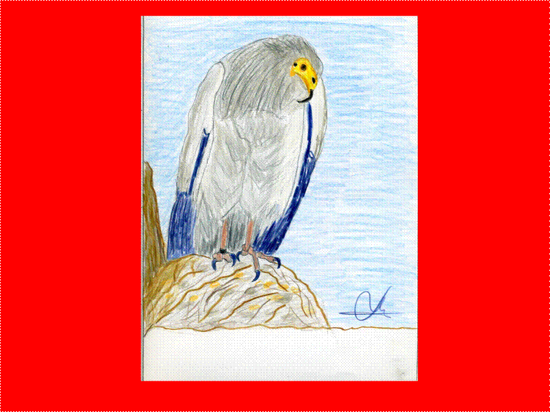 image002 image002