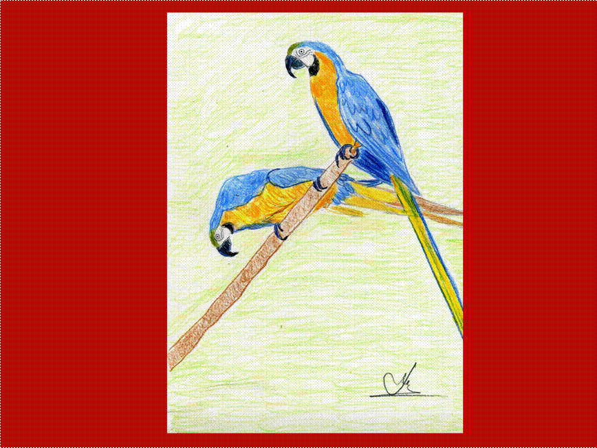 image002 image002