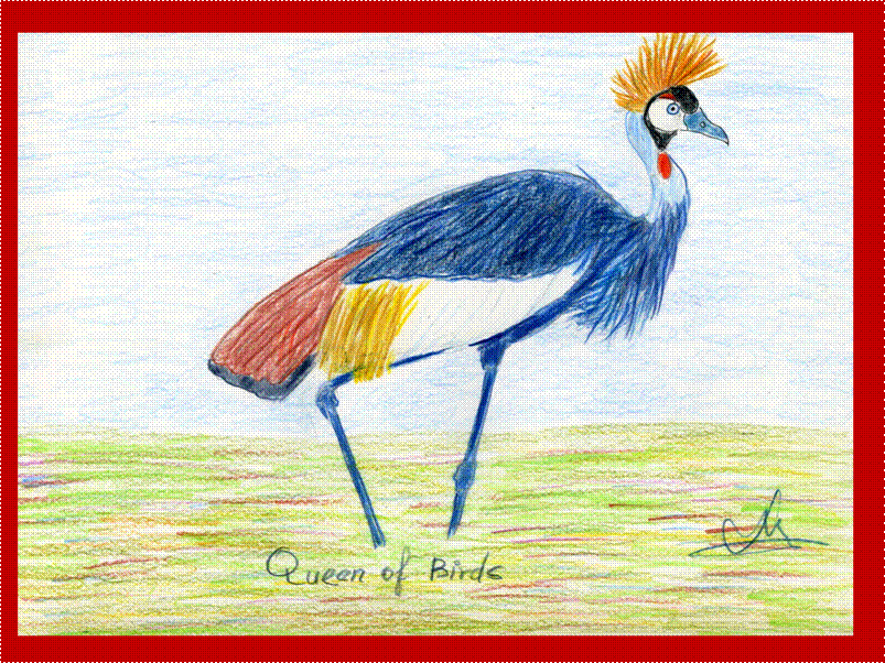 image002 image002